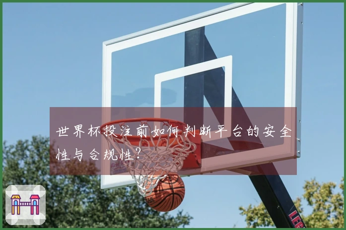 世界杯投注前如何判断平台的安全性与合规性？