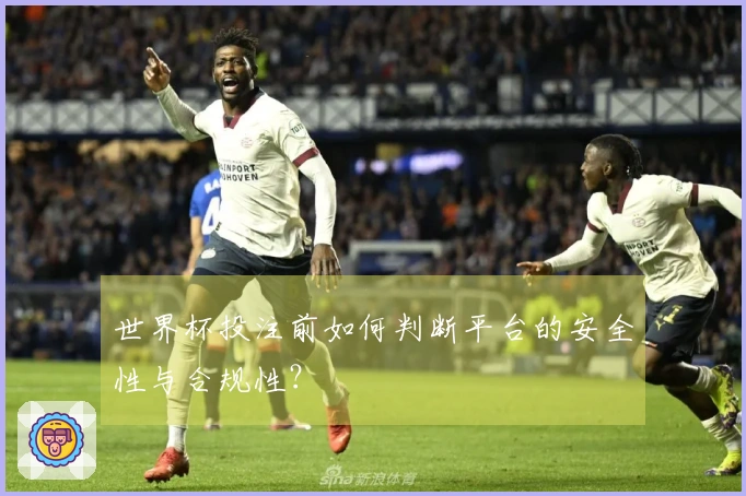 世界杯投注前如何判断平台的安全性与合规性？