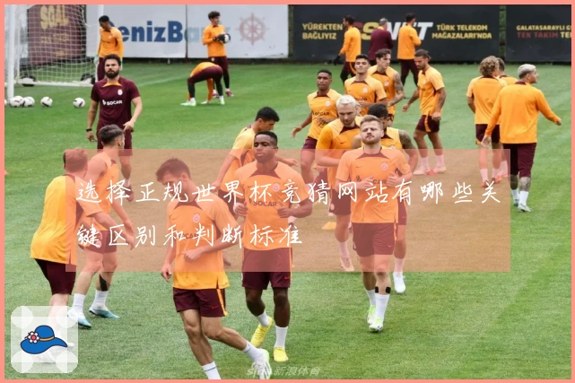 选择正规世界杯竞猜网站有哪些关键区别和判断标准
