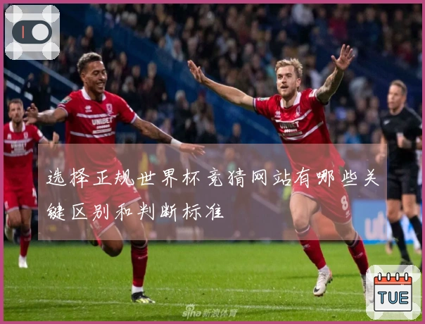 选择正规世界杯竞猜网站有哪些关键区别和判断标准