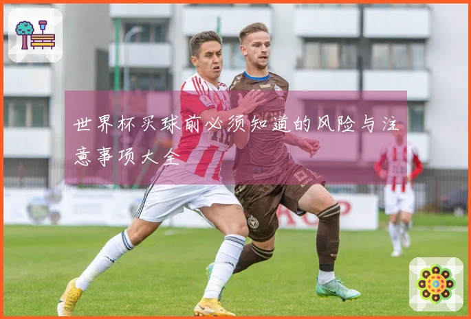 世界杯买球前必须知道的风险与注意事项大全