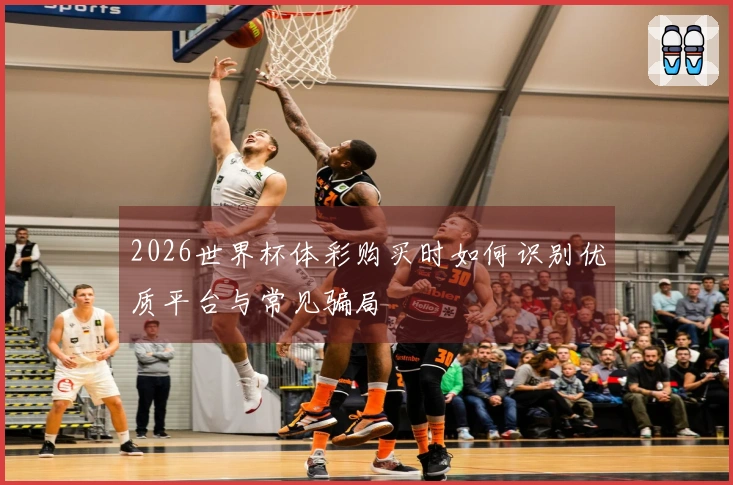2026世界杯体彩购买时如何识别优质平台与常见骗局